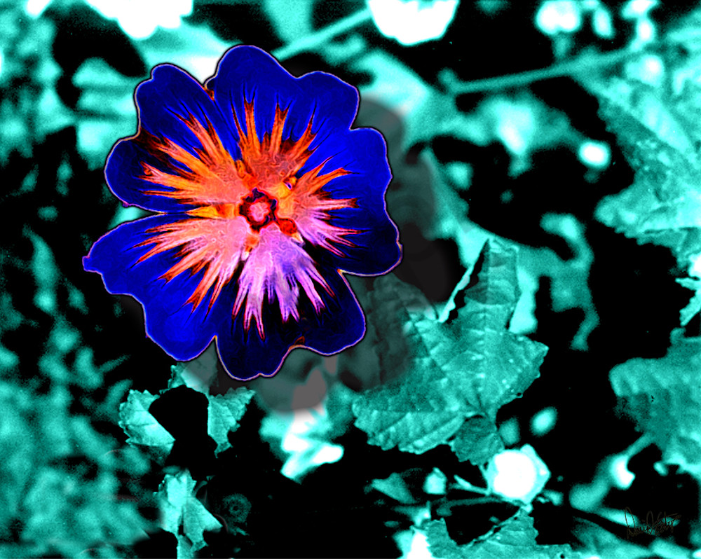Flower 46 Art | Cincy Artwork