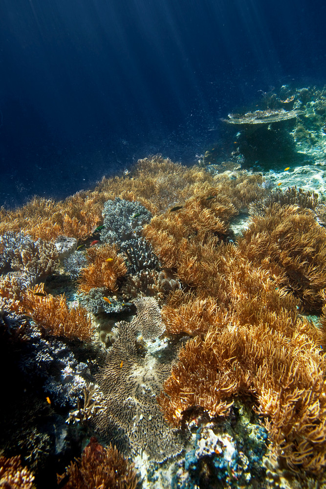  Fine Balance Fine Art Prints and products For Sale