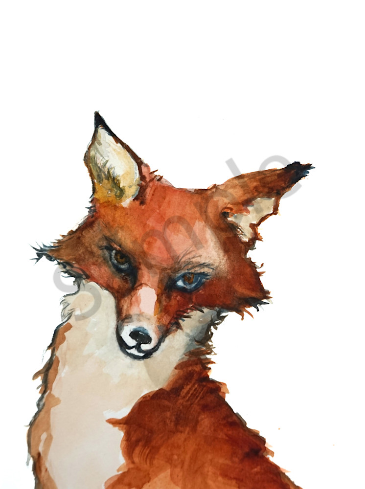 Sly Fox Art | Jackie Braden  Fine Art