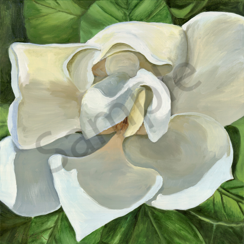 Hidden Beauty Print, Magnolia, white flower, flower blossom