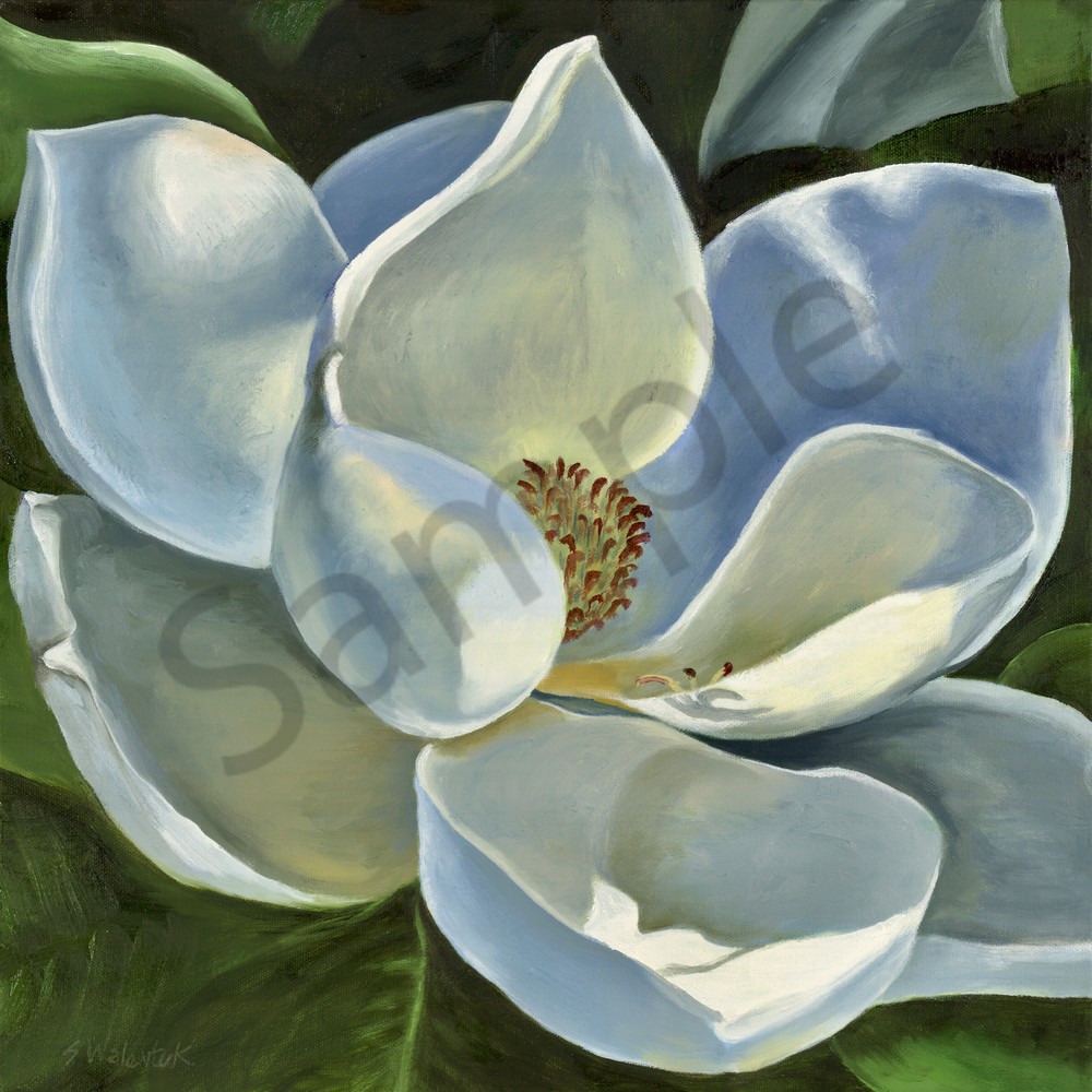 Revealing Beauty Print, Magnolia, Flower, White Flower, Blossom