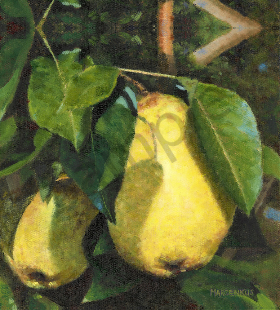 Two Pear  Art | Al Marcenkus Art, LLC