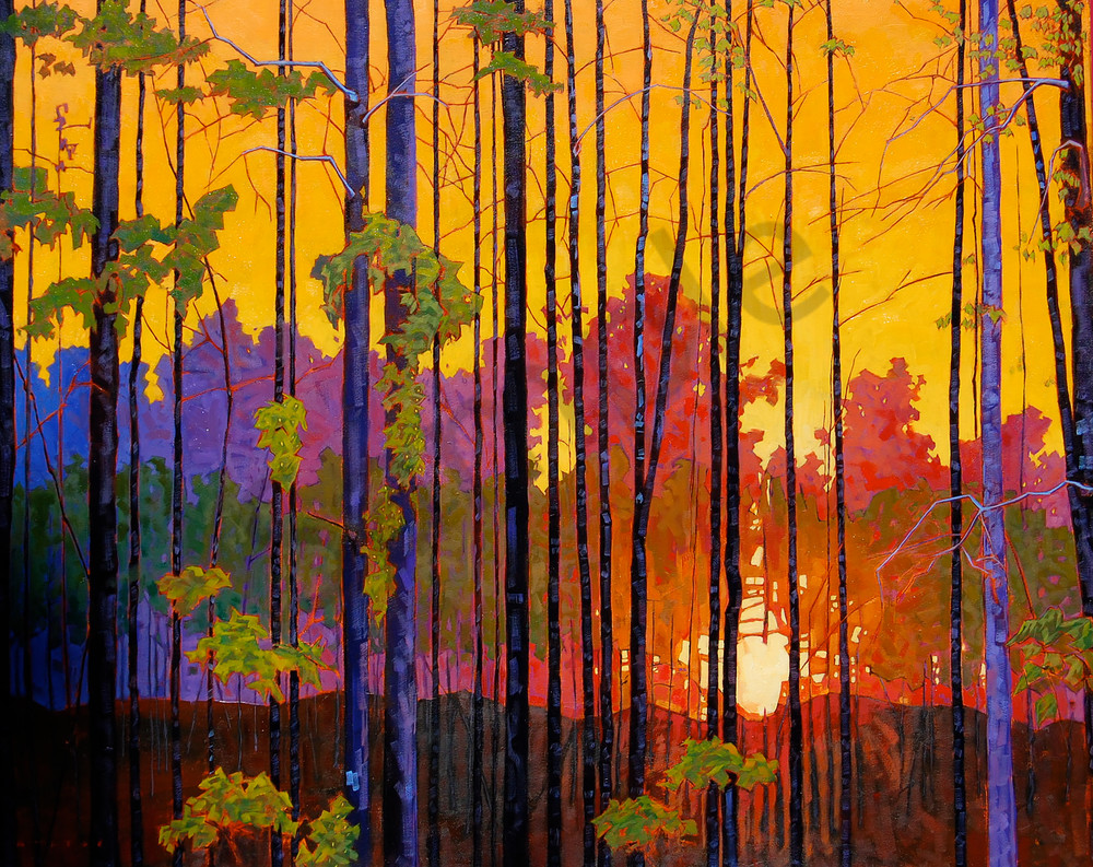 Timber Sunset, fine art prints from original oil on canvas painting by Matt McLeod.