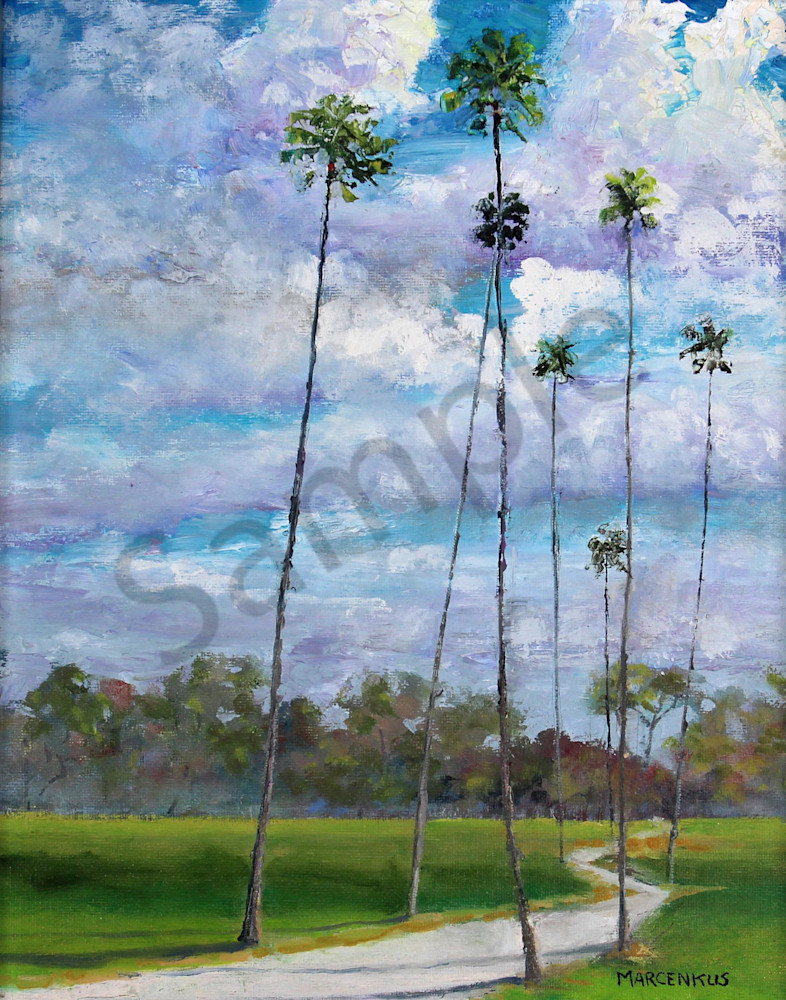 Washingtonian Palms  Ii Art | Al Marcenkus Art, LLC