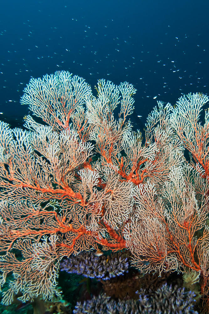  Fine Balance Fine Art Prints and products For Sale