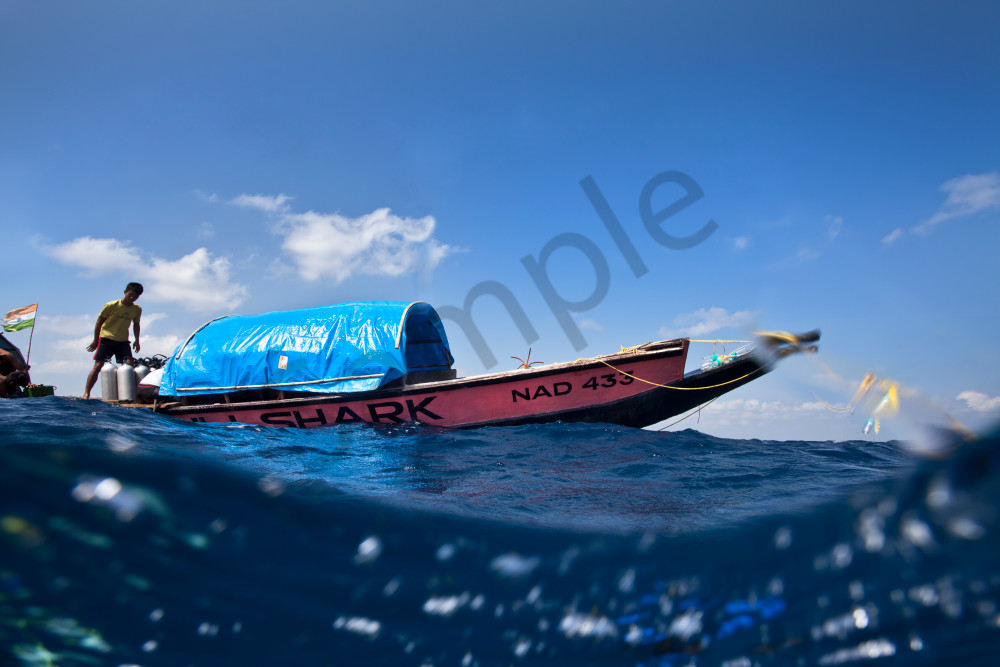 Serene Vista Photography Art | Fine Balance