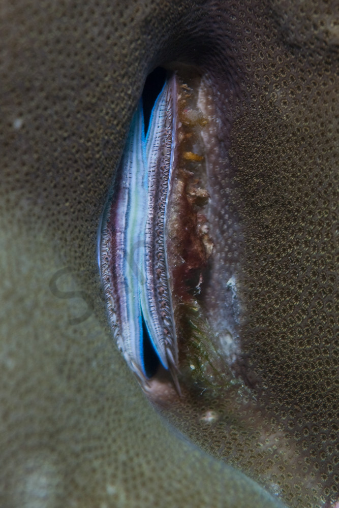 Fine Balance Fine Art Prints and products For Sale