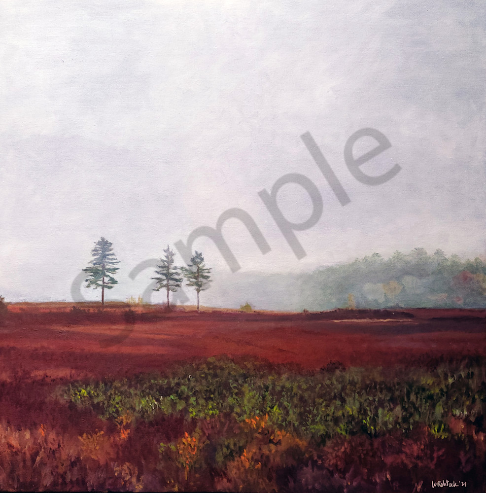 Sandplain Grassland