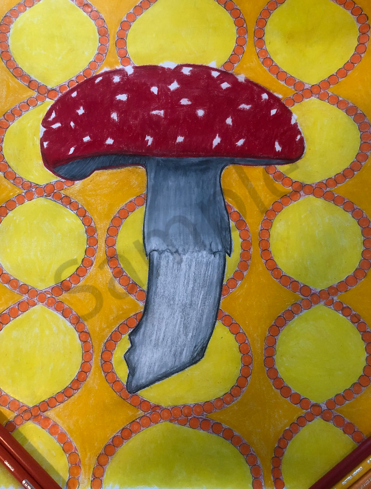 Aminita Muscaria "Fly" Art | MANN uP Art