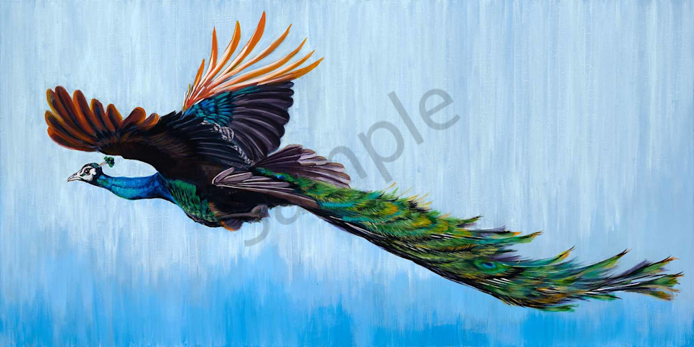 Wings of Fire 3 Wings of Fire 3