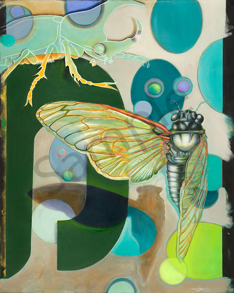 "Cicada 2" fine art print by Peter Koury.