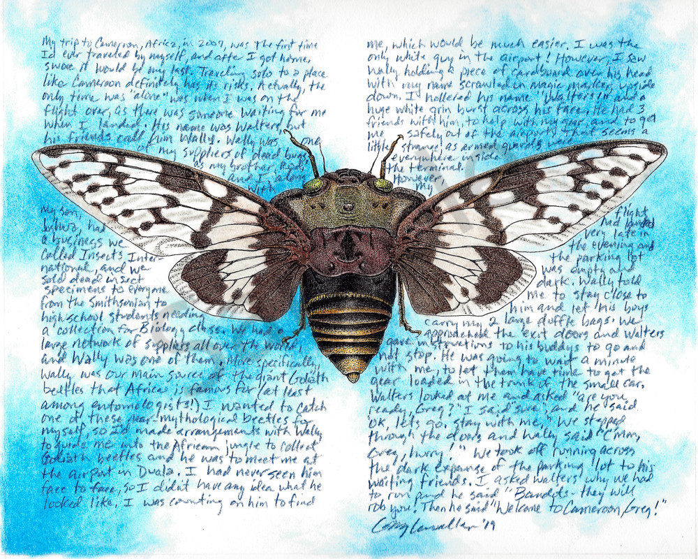 Cameroon Cicada #1- Original Art and Limited Edition Prints