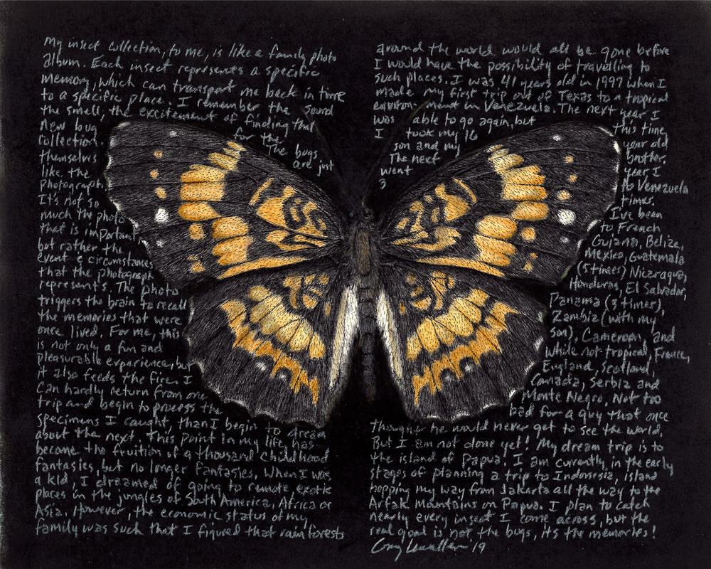 Checkerspot - Original Art and Limited Edition Prints