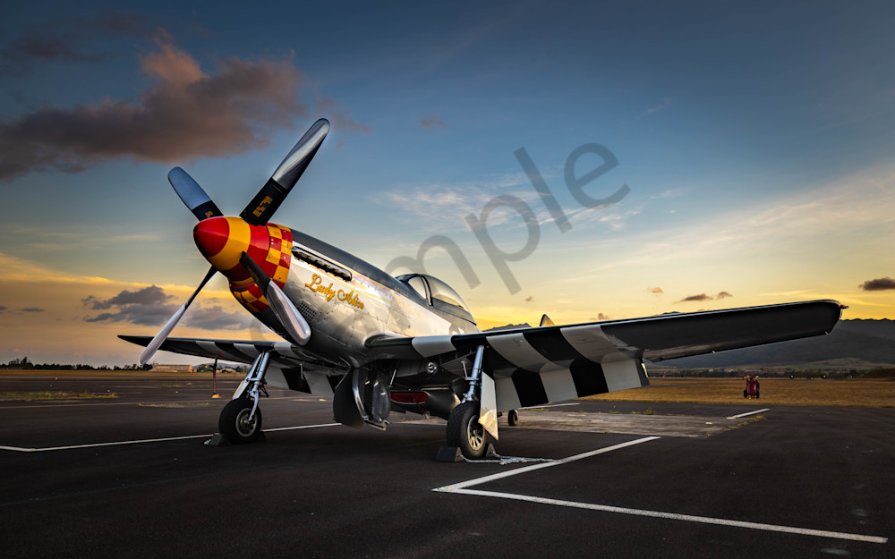 P 51 Asleep In Hawaii | Rs36 Art | Pictures Plus