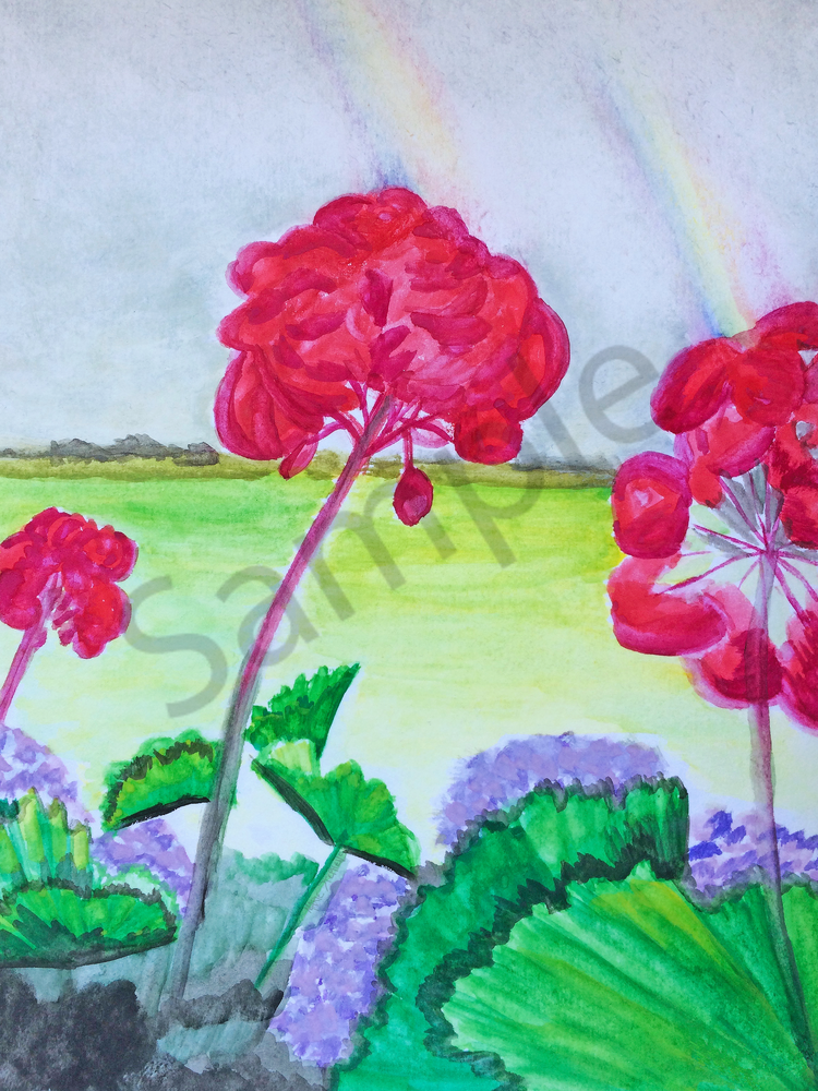 Red Geraniums overlooking a green pasture fine art prints Red Geraniums overlooking a green pasture fine art prints