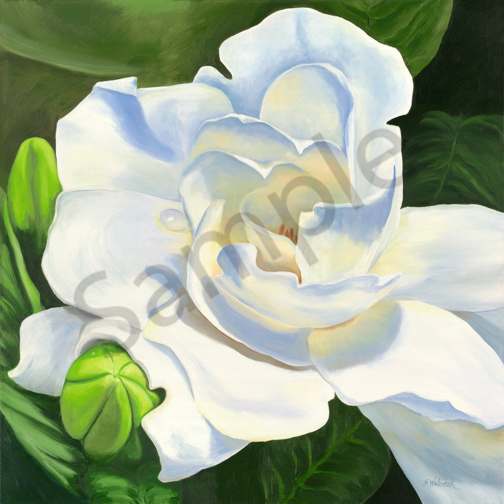 Fragrant Beauty, white flower, gardenia, print