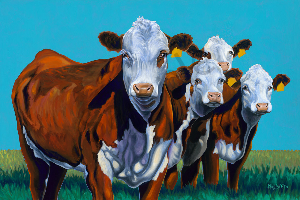 Hereford cow paintings by John R. Lowery, available as art prints.
