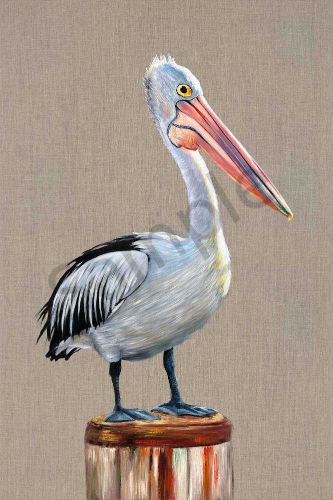 Pelican Look Out Pelican Look Out