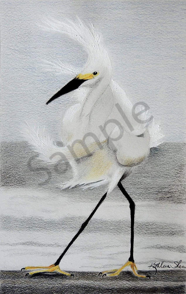 Stormy Egret Art | Kathleen Slaven Art