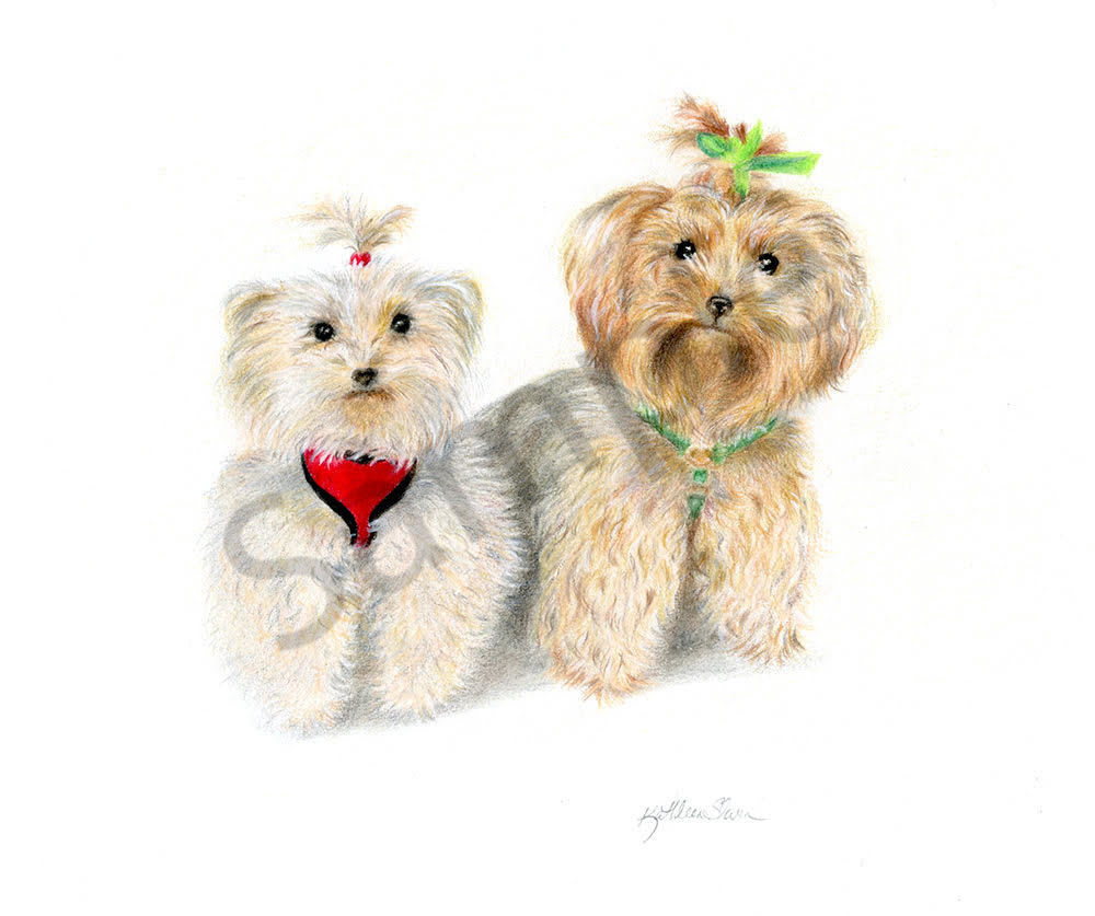 Yorkshire Terriers Art | Kathleen Slaven Art