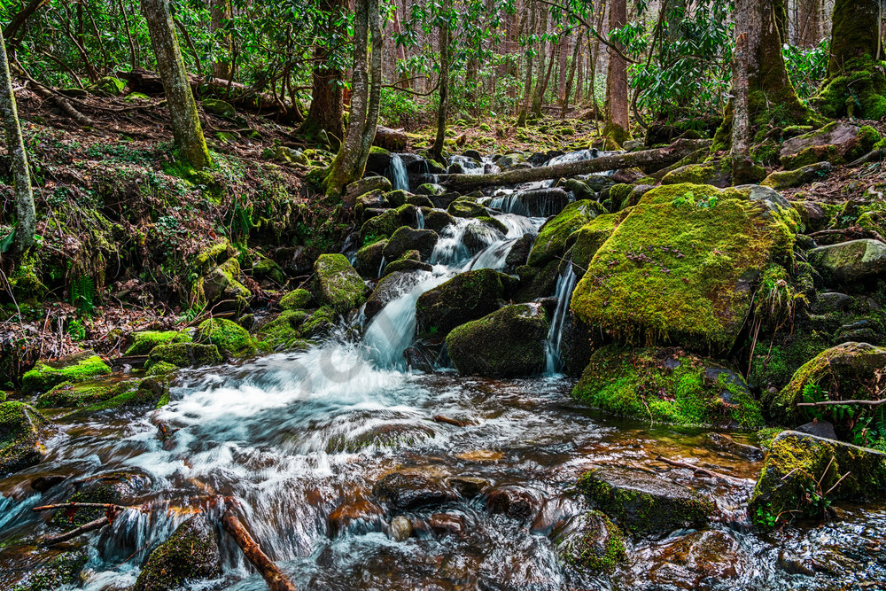 tennesee-wilderness|waterfall-photography