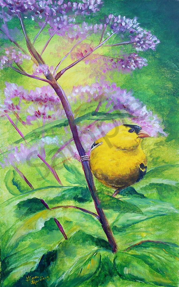 "Golden Finch" by Indiana Prophetic Artist Gina Harding | Prophetics Gallery