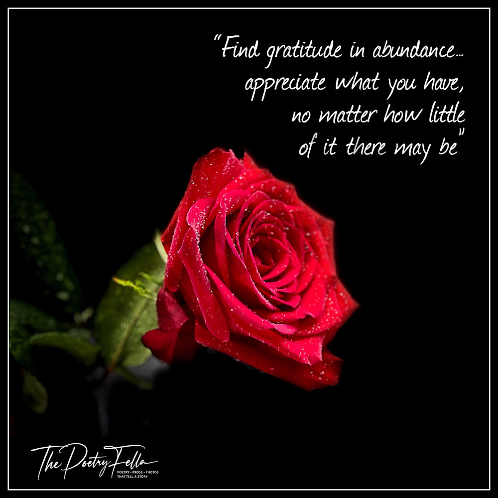 Find Gratitude In... Photography Art | The Poetry Fella