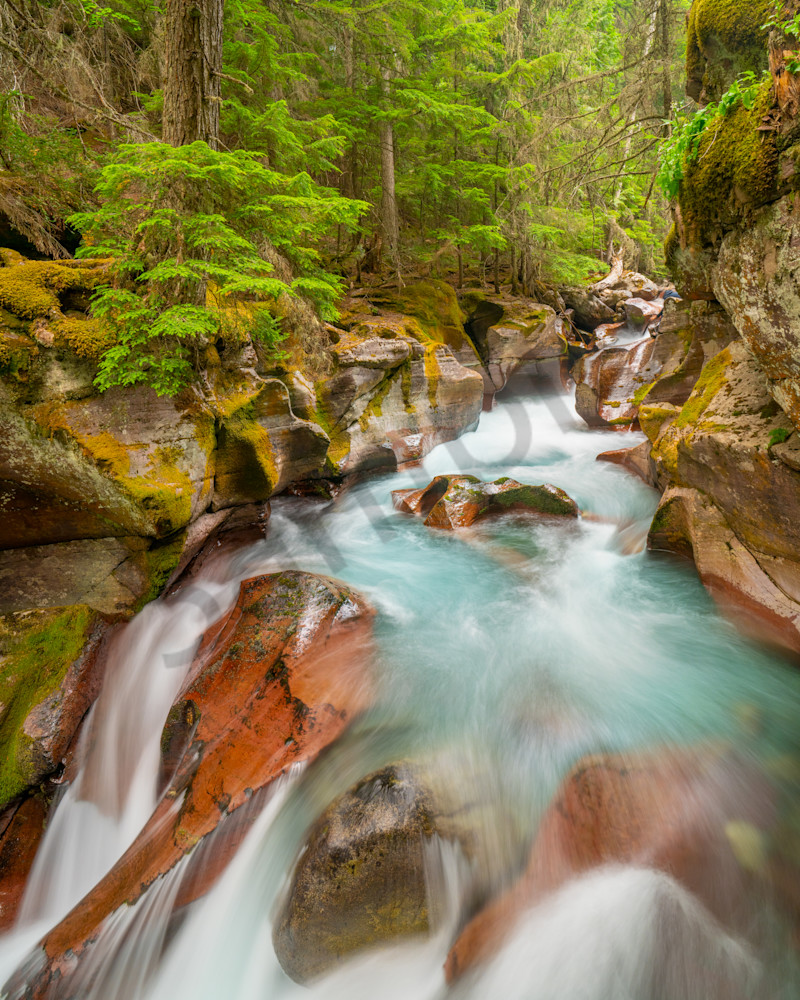 Gnp Avalanche Creek Photography Art | John Martell Photography