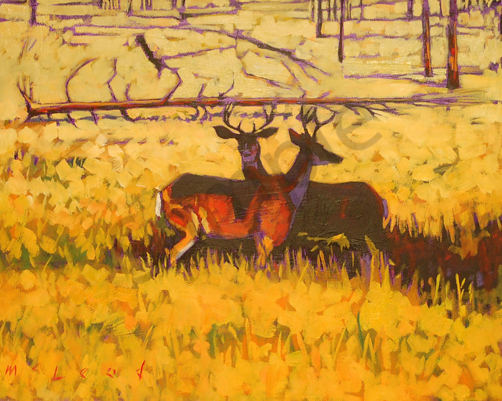 Deer Crossing, fine art prints from original oil on canvas painting by Matt McLeod. 