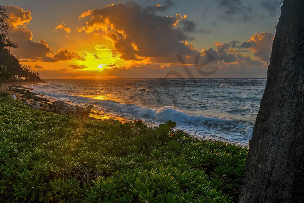 Glorious Sunrise from Kauai