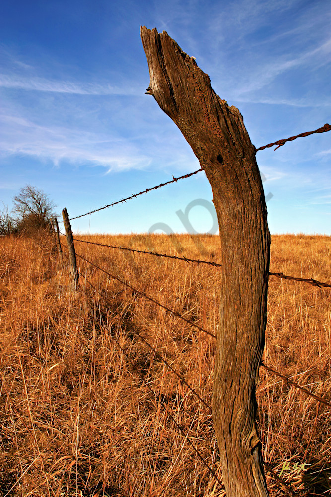 Tallgrass Prairie Fence Post Photography Art | johnkennington
