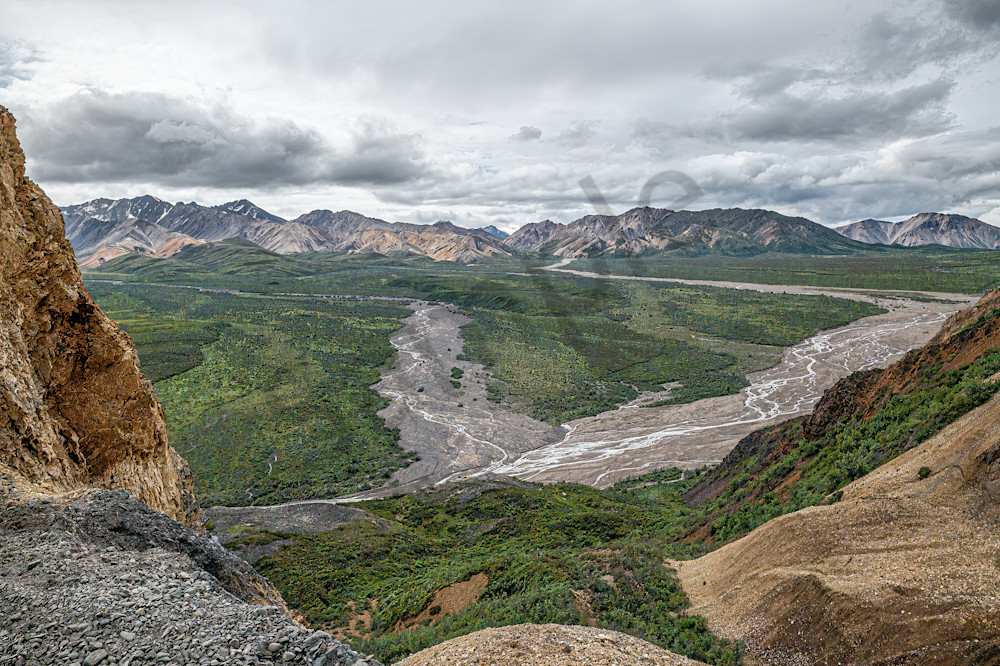 Soaring With The Eagles In Denali Art | Photography By Festine
