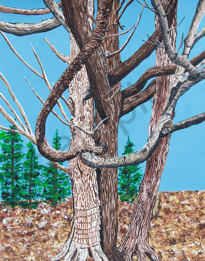 Print   The Hugging Trees Art | Francine's Fine Art, a division of Gibel and Associates Ltd.