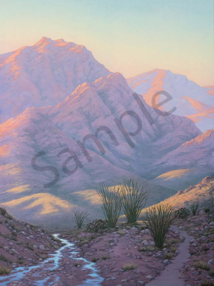 Spring Desert Morning Art | Terry Sauve Fine Art 