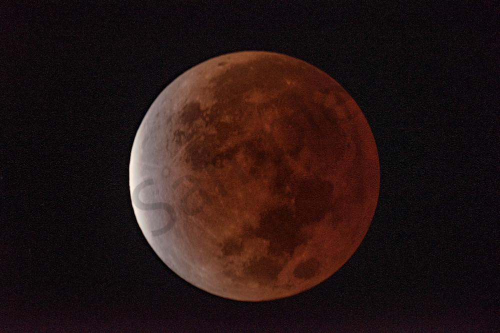Partial Lunar Eclipse, Blood Moon 