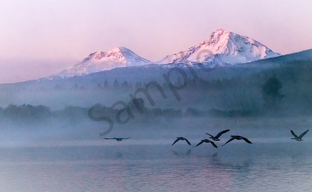 Lake Phalarope foggy lake at Sunrise with flying geese|Barb Gonzalez Photography