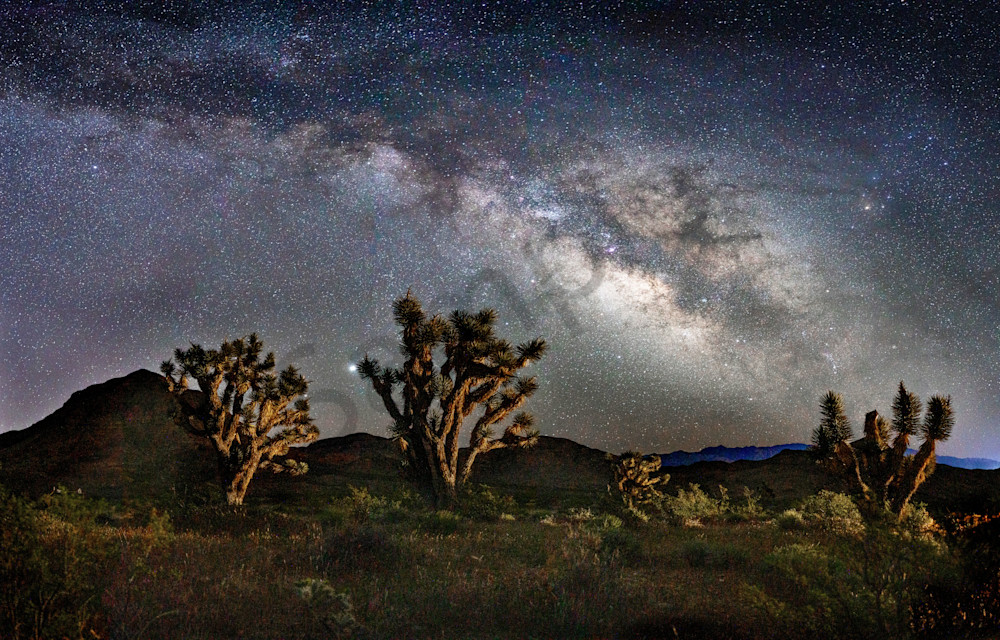Milky-way-astrophotography|joshua-tree-national-park