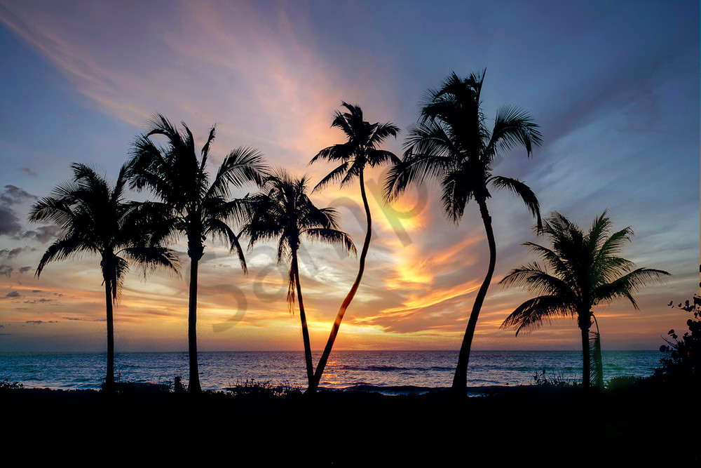 Sunset Palms 2 Photography Art | Cunningham Gallery