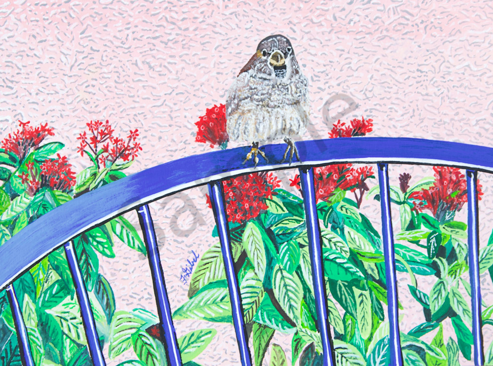 Print   The Visiting Bird Art | Francine's Fine Art, a division of Gibel and Associates Ltd.