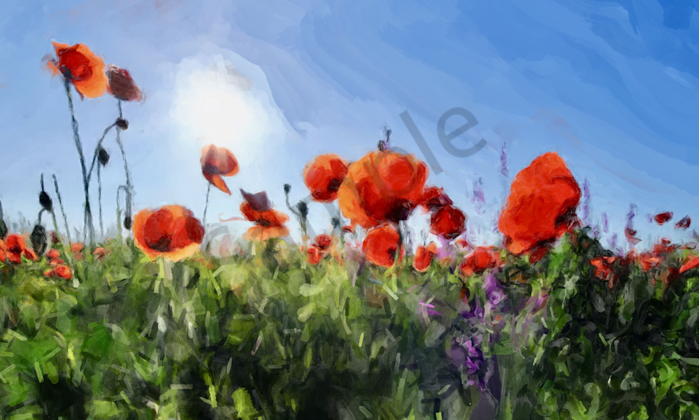 Poppys In The Morning   Gna Art | Windhorse