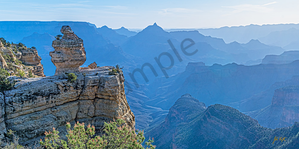 Duck On A Rock Viewpoint Of The  Grand Canyon Photography Art | johnkennington