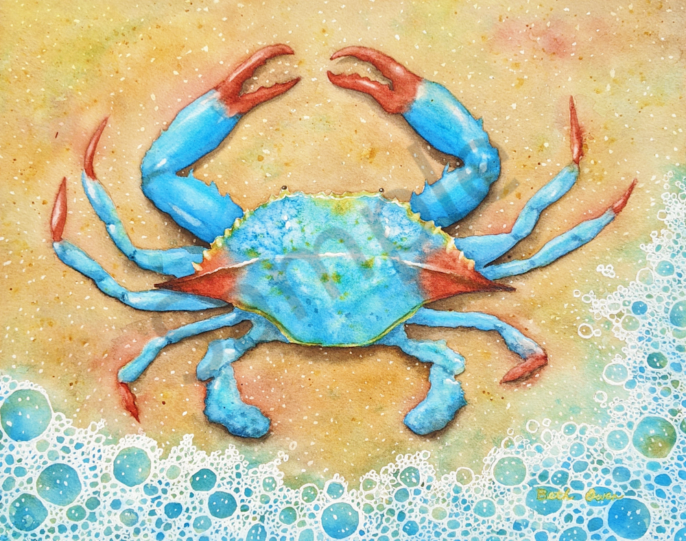 "Blue Crab" watercolor print available in watercolor paper, metal, canvas, acrylic and wood by Beth Owen.