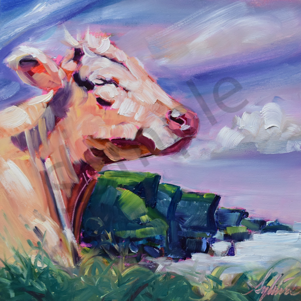 Dreaming On The Cliffs Of Moher Ireland Art | Sylvina Rollins Artist