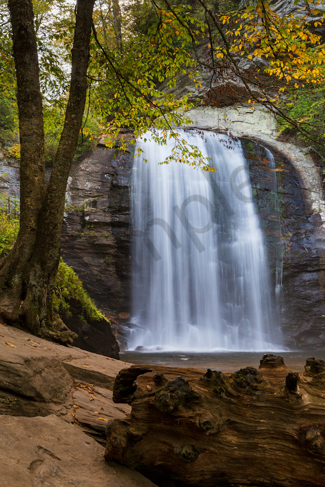 Waterfall wall art: Looking Glass Falls