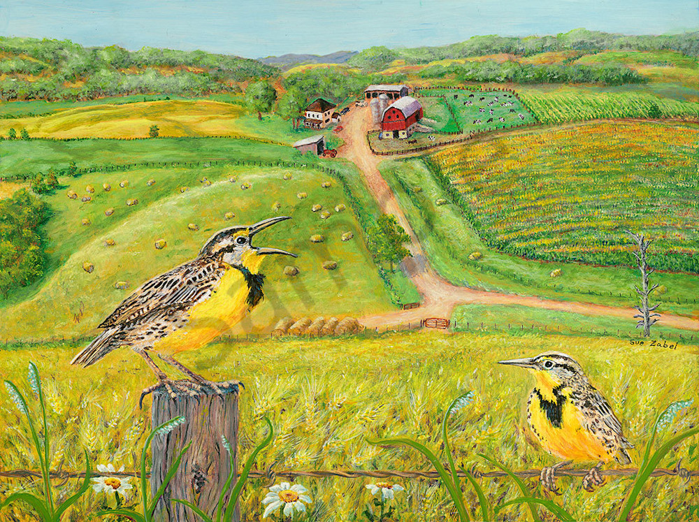 "Farm Songs" fine art print by Sue Zabel - Artistic Memories.
