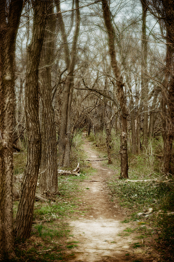 Mystery Path