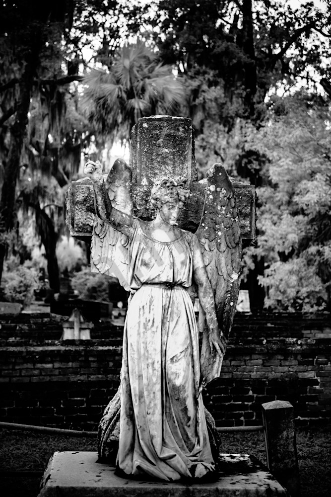 Angel Light