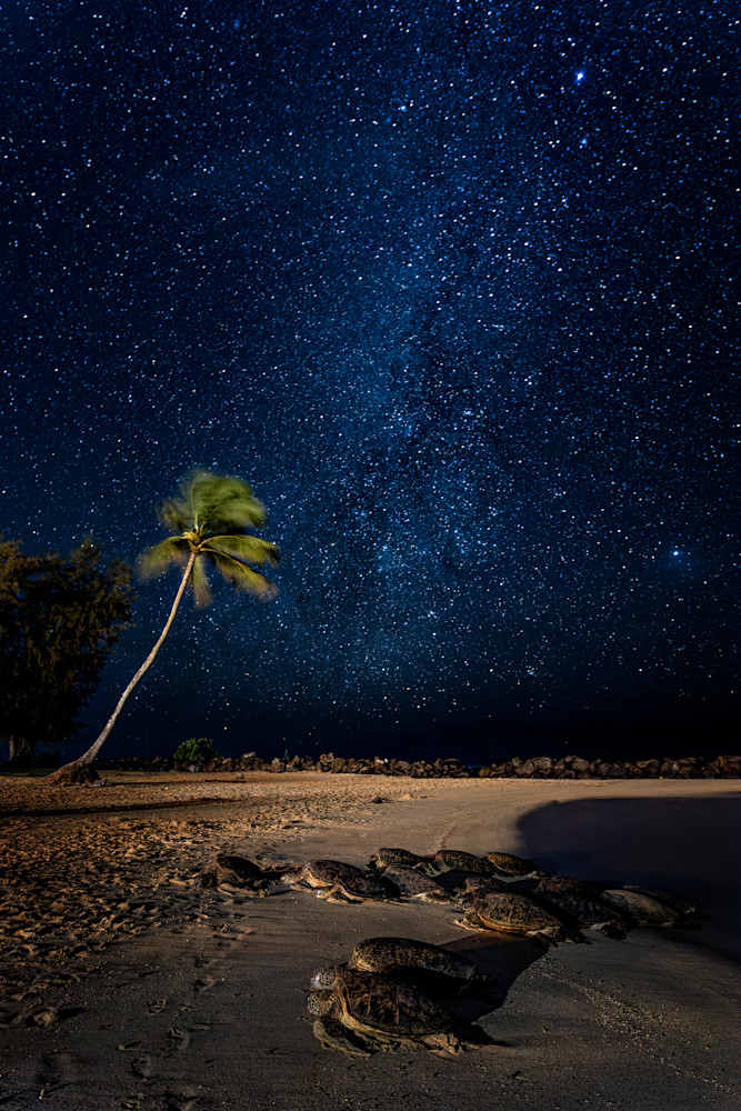 Kauai Starry Night by Leighton Lum Pictures Plus