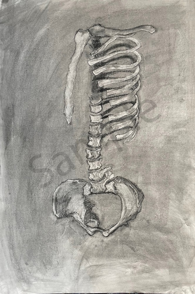 Bone Study Series No.1 Art | RamonaLenay.com