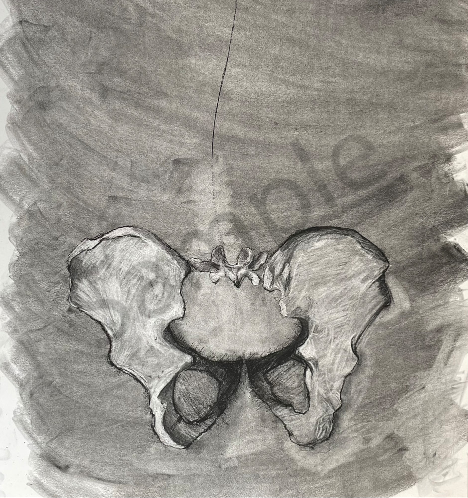 Bone Study Series No.3 Art | RamonaLenay.com